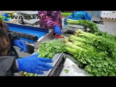 เครื่องบรรจุขนมเครื่องบรรจุขนมอัตโนมัติ