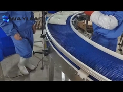 สายการผลิตมะเขือเทศ