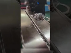 อัตโนมัติ HFFs เครื่องบรรจุระบายระบายแนวราบ เครื่องบรรจุไอศกรีลการค้า WZ-220