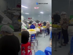 WG210 อิเล็กทริก อุตสาหกรรม Doypack อุปกรณ์บรรจุกระเป๋าสะพาย Premade สําหรับผลไม้แห้ง