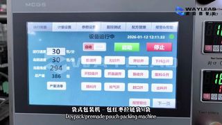 เครื่องบรรจุถุงของเหลวแบบรวดเร็ว WG250