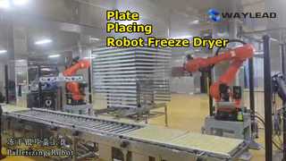 เครื่องบรรจุภัณฑ์หุ่นยนต์วางเพลทอัตโนมัติแบบแช่แข็ง