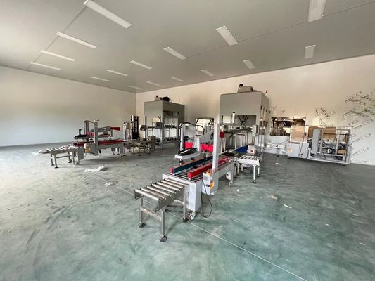 ปรับปรุงฟังก์ชัน สายบรรจุอัตโนมัติ 35-150 ถุง/นาที สําหรับกรอบกล่องขนาด 250-350 กรัม/ม2