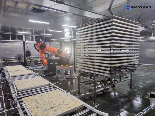 หุ่นยนต์วางแผ่นอัตโนมัติประสิทธิภาพสูง ปรับแต่งสำหรับสายการผลิตเครื่องอบแห้งแบบแช่เยือกแข็ง